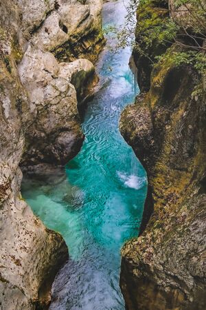 Deep canyon or gorge of Mostnica river, Bohinj, Triglav National Park, Sloveniaの写真素材