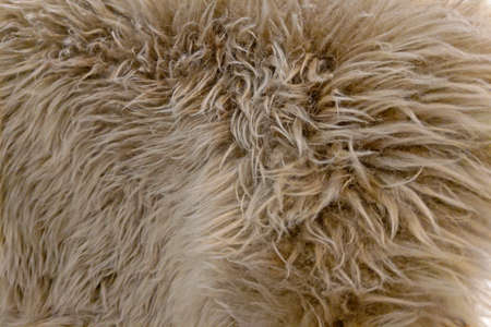 Large gray carpet made of artificial wool close-up. Selective focusの写真素材