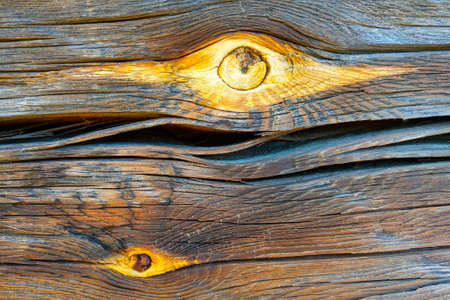 Wood texture side view. Background. Blank for designersの写真素材