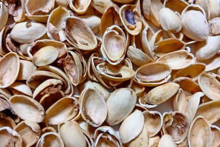 Pistachio shells on a plate. Background, textureの写真素材