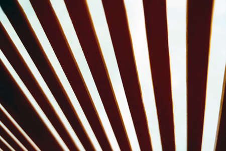 View from the bottom of the curtains up. Selective focus. Backgroundの写真素材