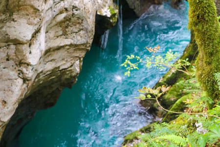 Triglav national park in Slovenia: mountains, emerald rivers, forestsの写真素材