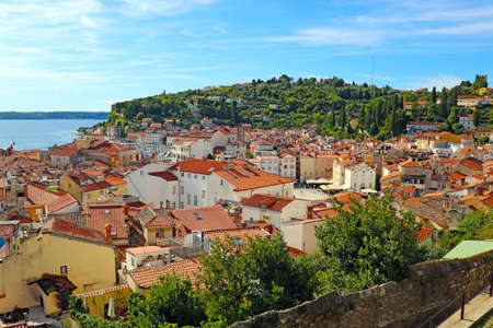 Top view on houses with red tiles and sea in the city of Piran, Sloveniaの写真素材