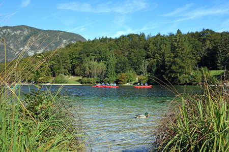 Beautiful crystal clear water on lake Bohinj, Sloveniaの写真素材