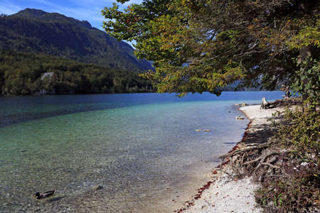 Beautiful shore of a mountain lake with cold waterの写真素材