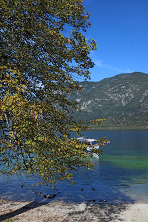Morning on the Bohinj lake in Triglav national park Slovenia, Alps, Europeの写真素材