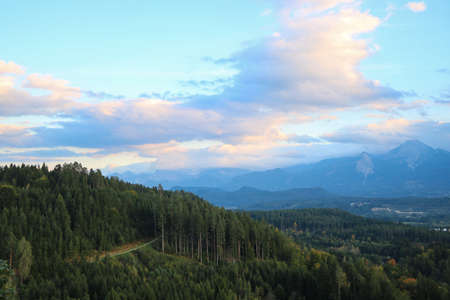 Nice view from a height to the green dense forest and mountains in the eveningの写真素材