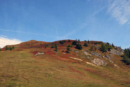 Great views to the peaks, valleys of the Austrian Alps. Charming and beautiful scene with meadowsの写真素材