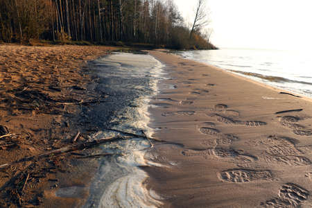 Dirty seashore with foam from the waves. Footprints in the sandの写真素材