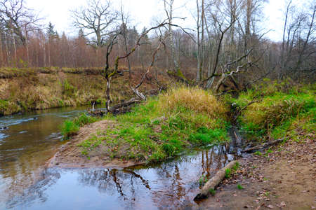 Small meandering river with trees in the water in autumnの写真素材