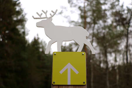Pointer in the park to the deer ladderの写真素材