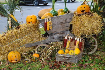 Pumpkin on the grass with yellow leaves. Preparing for halloweenの写真素材