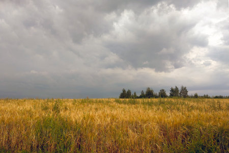 Dark sky in the countryside over a field before a thunderstormの写真素材
