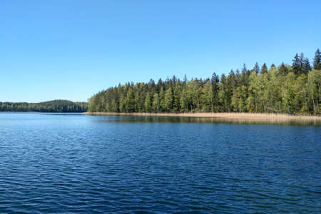 Beautiful blue lake near the green forest on a sunny dayの写真素材