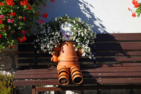 View of beautiful pots with flowers on a sunny dayの写真素材