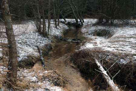 A small river flows along the forestの写真素材