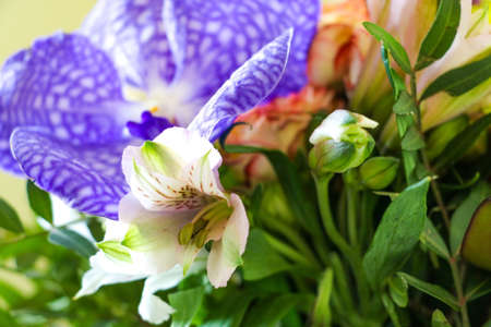 Beautiful bright bouquet of flowers, selective focusの写真素材
