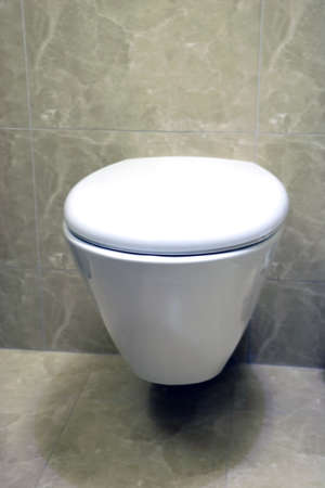 Modern toilet room interior with handing toilet bowl, toilet brush and flush button