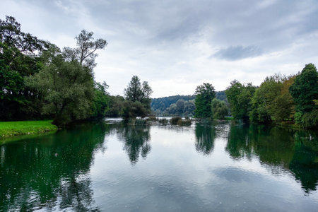 Nice view of a small river surrounded by treesの写真素材