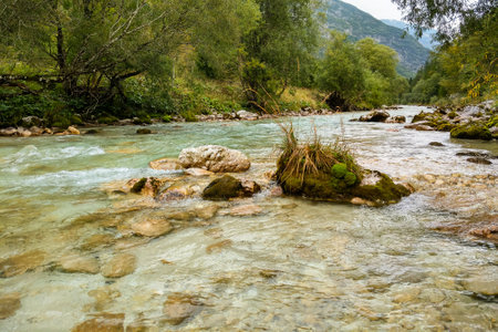 Fast mountain river with clear cold waterの写真素材