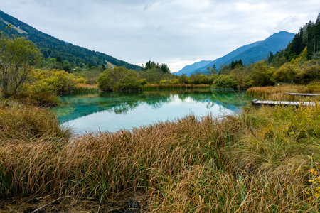 A beautiful small mountain lake in Slovenia in autumnの写真素材