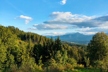 Nice view of the green forest against the background of mountains and blue skyの写真素材