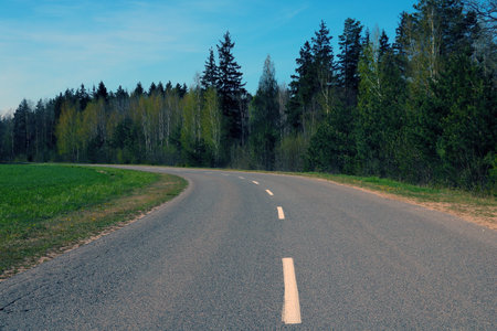 Beautiful scenic road next to a green forestの写真素材