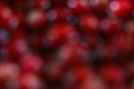 Out of focus. Blurred red background. Sour cranberriesの写真素材