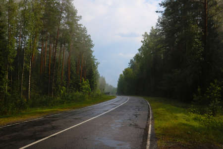 View of the wet road along the forest after rainの写真素材