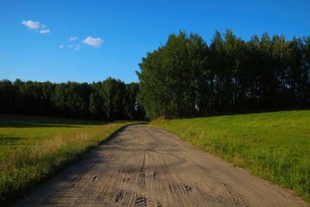 Country country road along the forest on a spring dayの写真素材