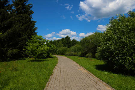 View of the footpath in the park on a clear dayの写真素材