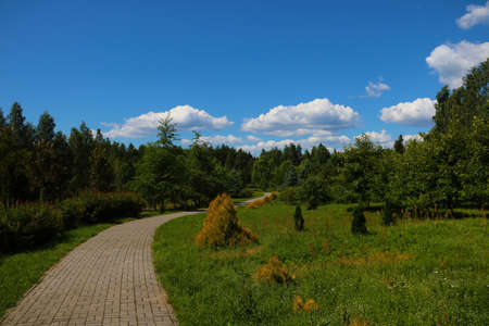 Walking path in a young green parkの写真素材