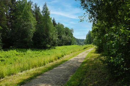 A path for walking and cycling along the forestの写真素材