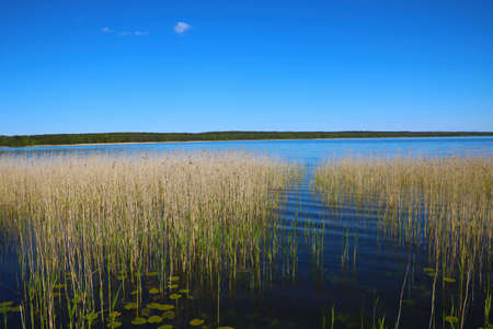View of a beautiful lake on a sunny summer dayの写真素材