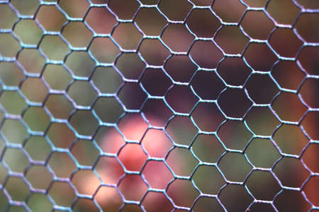 Selective focus. View of the fence mesh, backgroundの写真素材