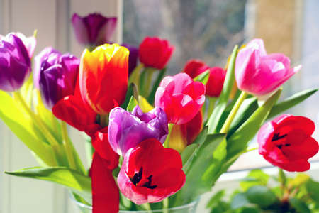 A bouquet of fresh fragrant blooming tulips. Congratulations on a holiday or birthdayの写真素材