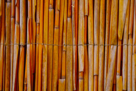 Close-up on a bamboo fence in the parkの写真素材
