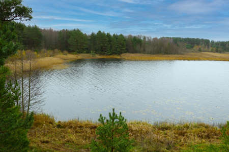 Top view of a small lake near the forest in autumnの写真素材