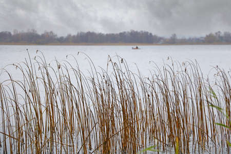 Foggy cloudy autumn morning on the shore of the lakeの写真素材