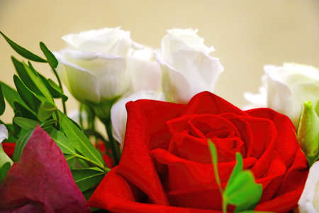 Beautiful bouquet of white and red rosesの写真素材