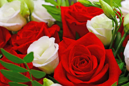 Beautiful bouquet of blooming red white rosesの写真素材