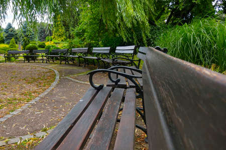A large long empty park bench.の写真素材