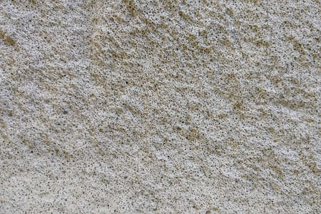 Gray texture of a building or house, backgroundの写真素材