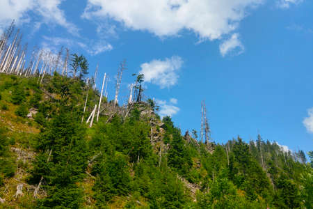 View up the green mountains against the blue skyの写真素材
