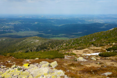 View from the mountain down. Green forestの写真素材