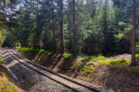 A picturesque railway in the forest in a mountainous areaの写真素材