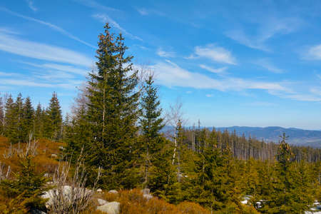 Picturesque view in the mountains on a sunny autumn dayの写真素材