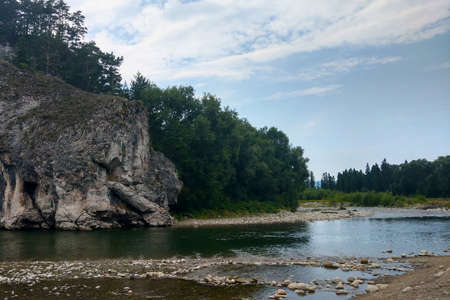 A small mountain river in the forest against the blue skyの写真素材