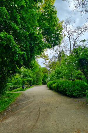 Beautiful young green park for walking and recreationの写真素材