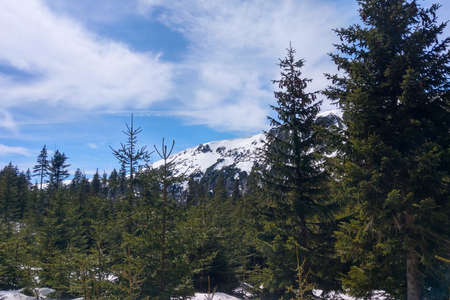 View of the white peaks of the mountains on an autumn dayの写真素材